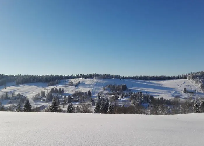 Konukevi Sehnoutkovi *